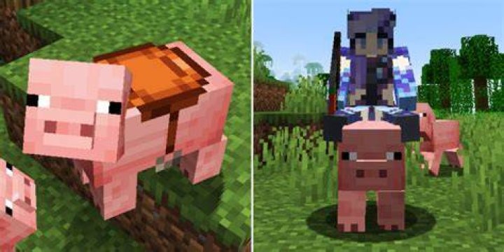 How to ride pigs in minecraft