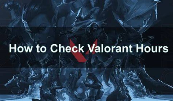 How to see how many hours you have in valorant