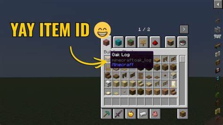 How to see item ids in minecraft