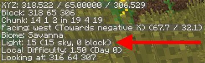 How to see light level in minecraft