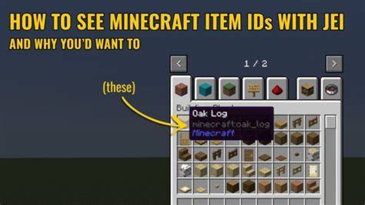 How to see minecraft ids in game