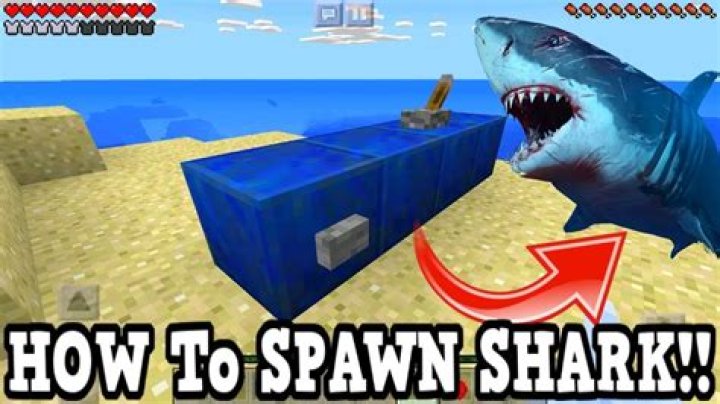 How to spawn a shark in minecraft