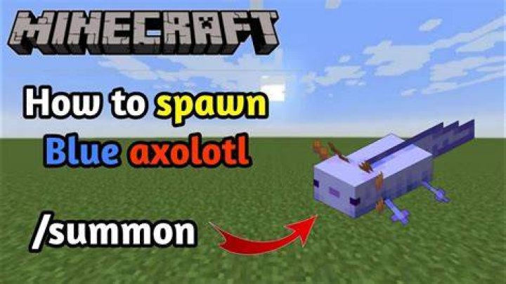 How to spawn blue axolotl in minecraft