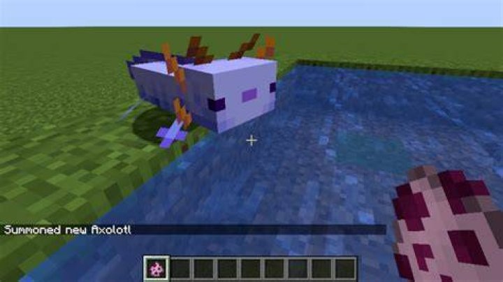 How to spawn rare axolotl in minecraft