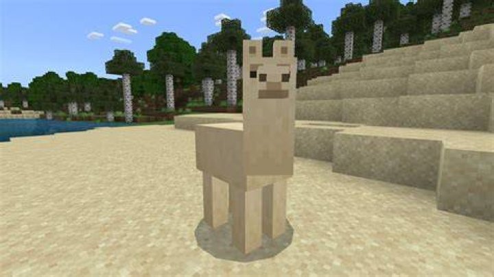 How to steer a llama in minecraft