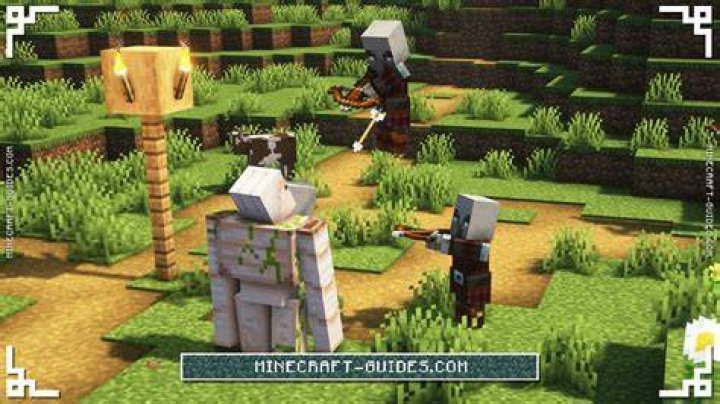 How to summon a raid in minecraft