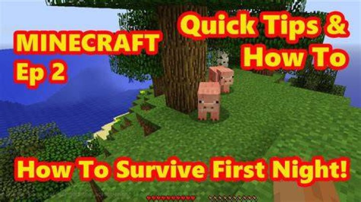 How to survive first night minecraft