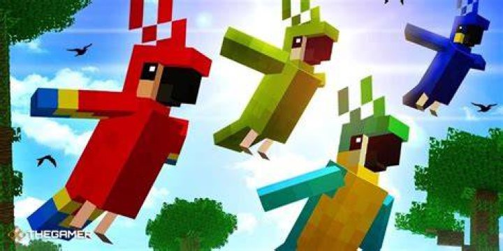 How to tame a bird minecraft