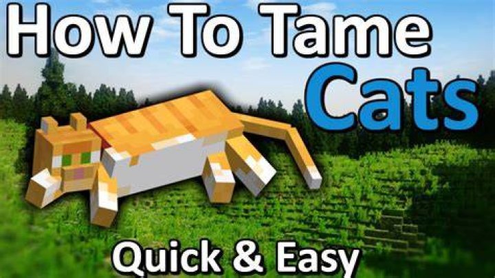 How to tame a cat minecraft 1.14