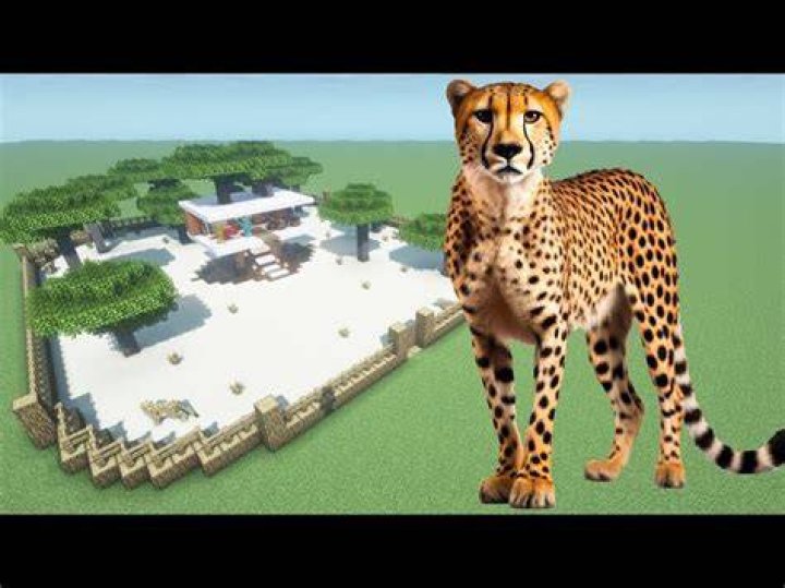 How to tame a cheetah in minecraft