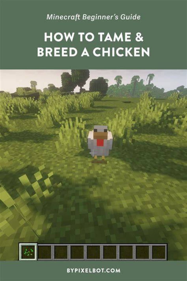 How to tame a chicken in minecraft
