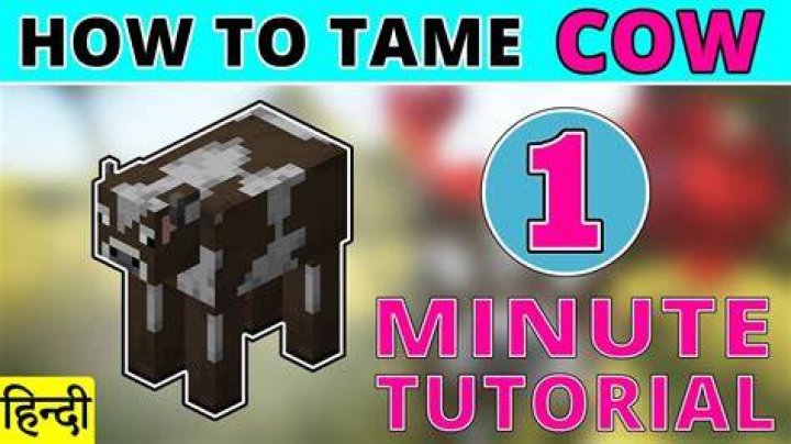 How to tame a cow in minecraft