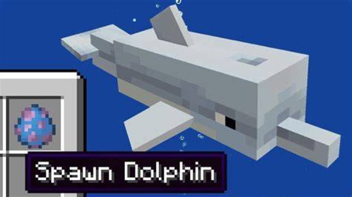 How to tame a dolphin in minecraft