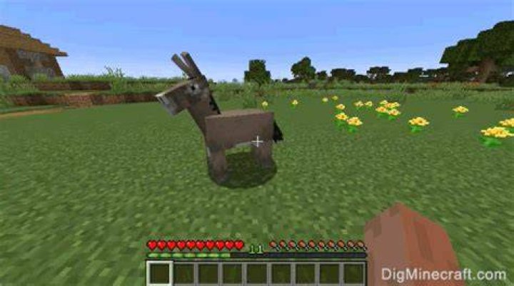 How to tame a donkey in minecraft