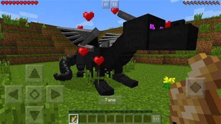 How to tame a dragon in minecraft