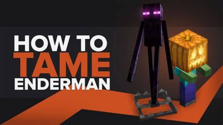 How to tame a enderman in minecraft