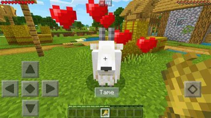 How to tame a goat in minecraft
