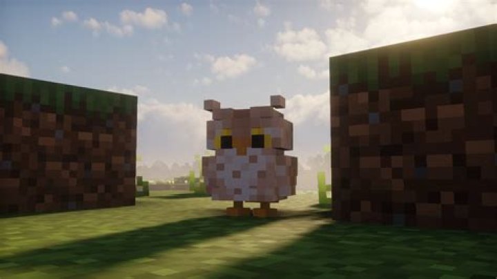 How to tame a owl in minecraft
