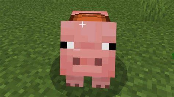 How to tame a pig in minecraft