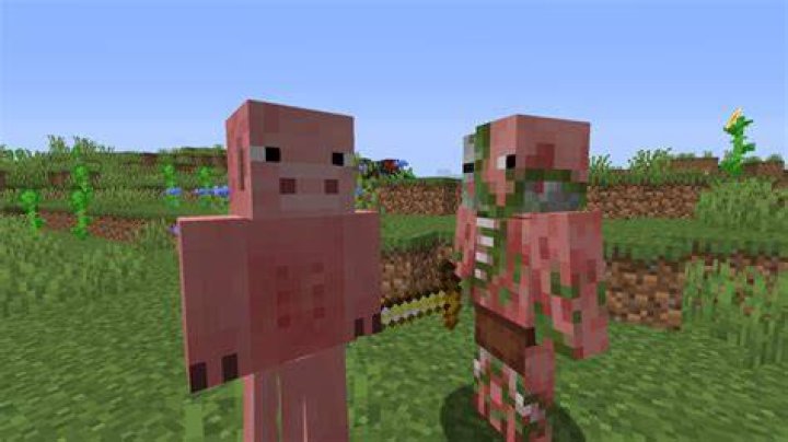 How to tame a pigman in minecraft