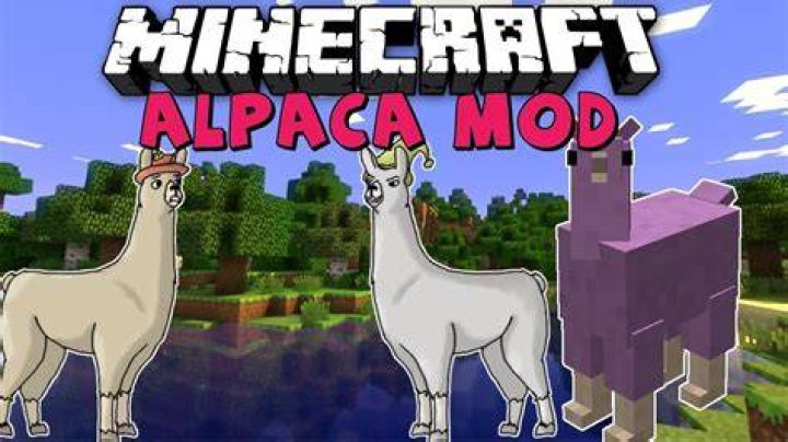 How to tame an alpaca minecraft