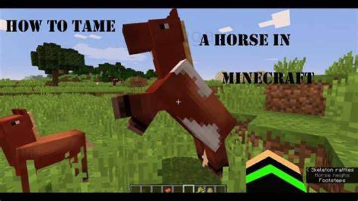 How to tame horses in minecraft pe