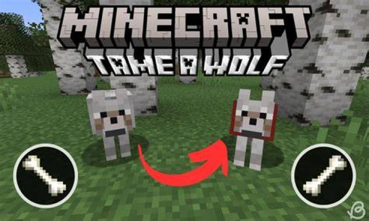 How to tame wolves in minecraft
