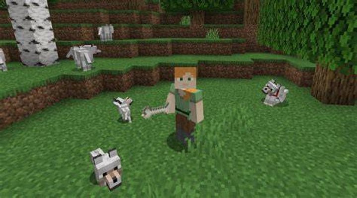 How to teleport dogs in minecraft