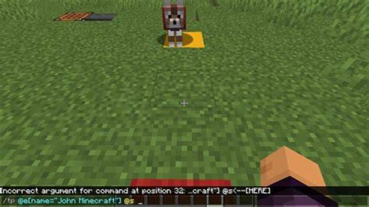 How to teleport your dog in minecraft