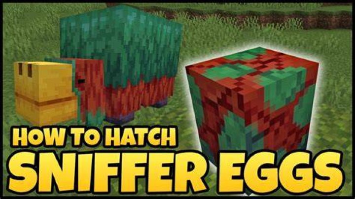 How to throw eggs in minecraft