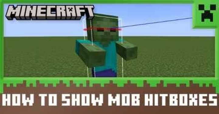 How to toggle hitboxes in minecraft