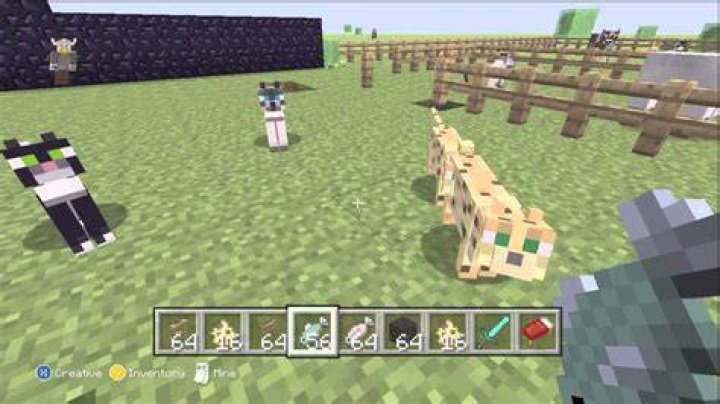 How to train ocelots in minecraft