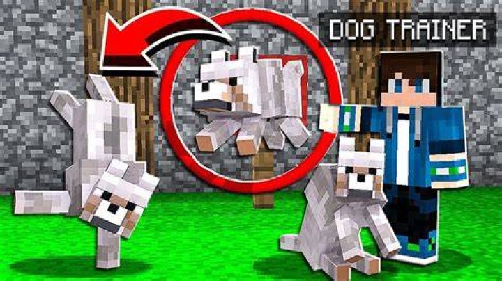 How to train wolves in minecraft