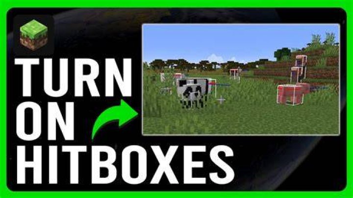 How to turn off hitboxes in minecraft