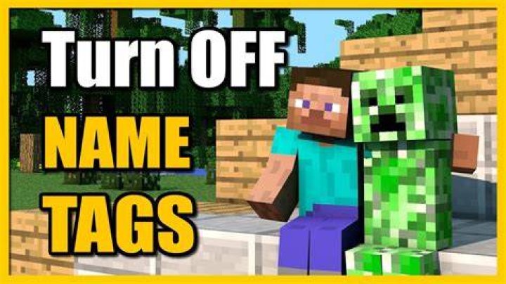 How to turn off nametags in minecraft