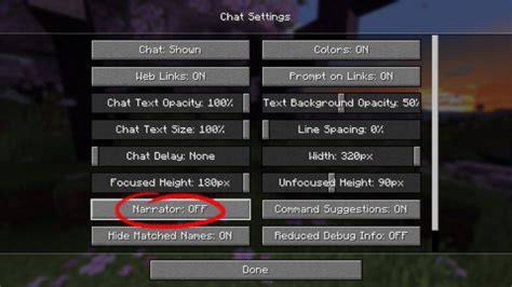 How to turn off narrator in minecraft