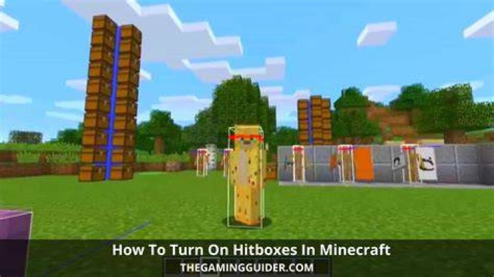 How to turn on hitboxes in minecraft