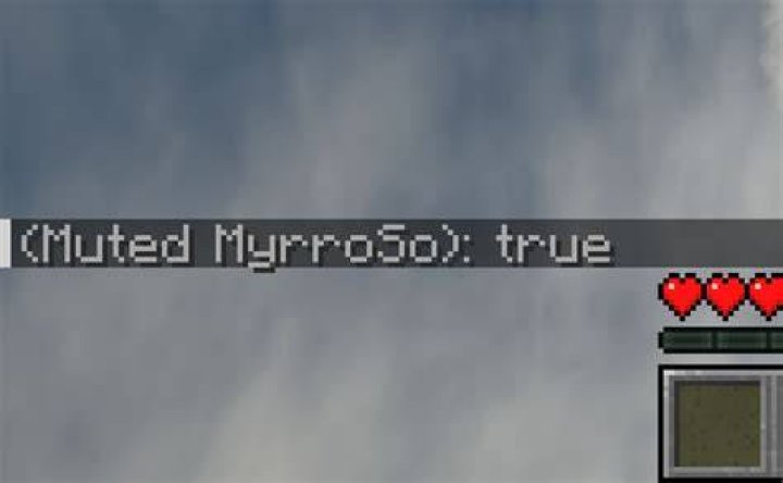 How to unmute someone on minecraft