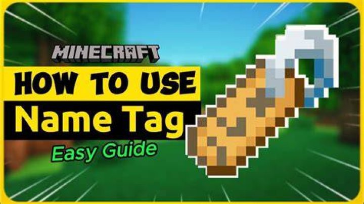 How to use name tag minecraft