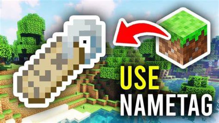 How to use nametags on minecraft
