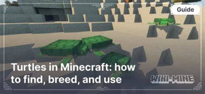 How to use turtles in minecraft