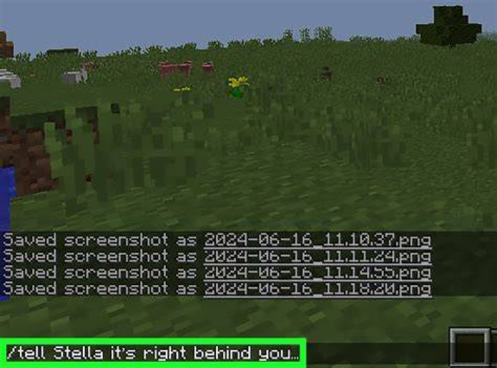 How to whisper someone in minecraft