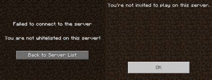 How to whitelist a minecraft server