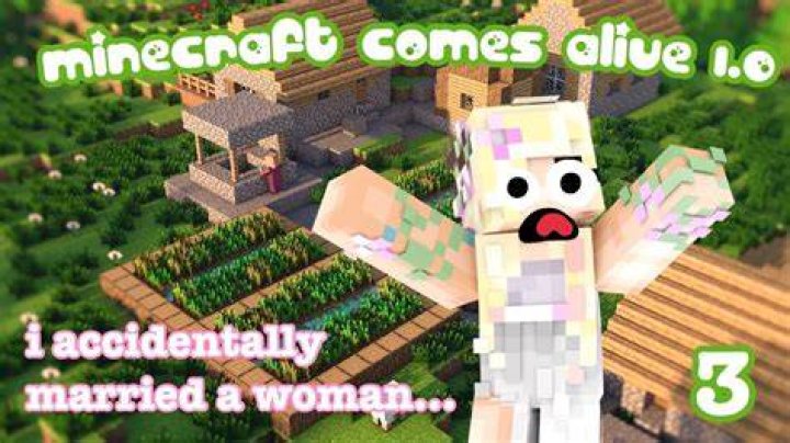 Minecraft comes alive how to get married
