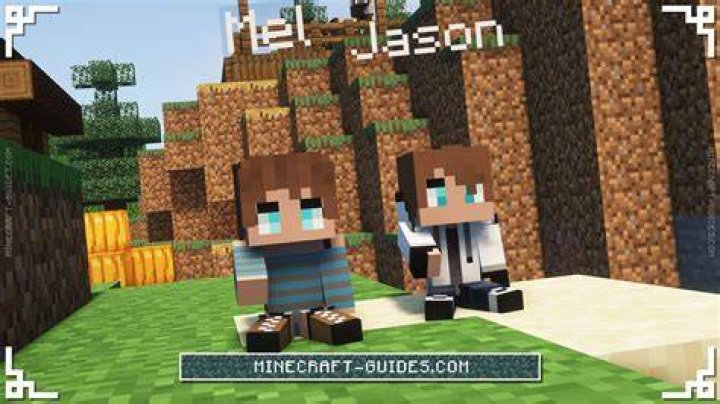 Minecraft comes alive how to have twins
