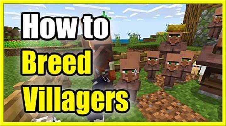 Minecraft how to breed villagers 1.12