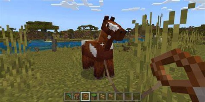 Minecraft how to catch a horse