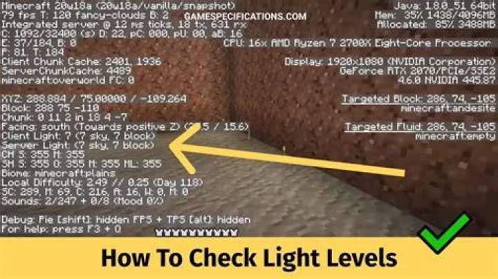 Minecraft how to check light level