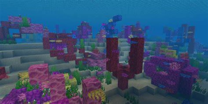 Minecraft how to find coral reef