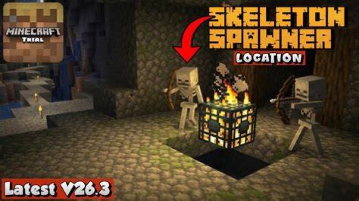 Minecraft how to find skeleton spawner